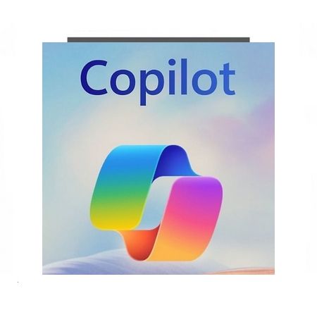 Obrázek pro kategorii MS COPILOT