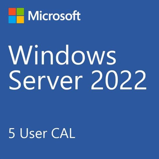 Obrázek DELL Windows Server 2022 Standard,No Media, WS2019 Std Downgrade w/DVD Media,Multi Lang, Customer Kit
