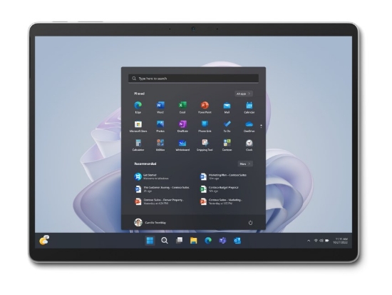 Obrázek Microsoft Surface Pro10 256GB (i5/16GB) Platin W11 PRO