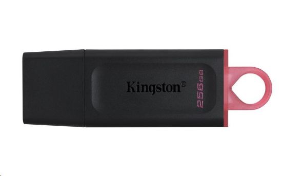 Obrázek Kingston Flash Disk 256GB USB3.2 Gen1 DataTraveler Exodia (Black + Pink)