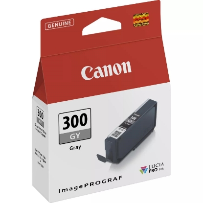Obrázek Canon CARTRIDGE PFI-300 GY šedá pro imagePROGRAF PRO-300