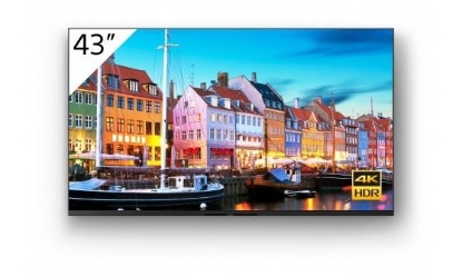 Obrázek SONY 4K 43" Android 10 Professional BRAVIA