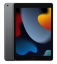 Obrázek APPLE iPad 10,2" (9. gen) (2021) Wi-Fi 64GB US - Space Grey