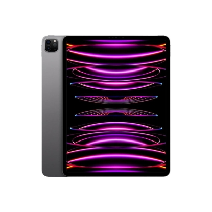 Obrázek APPLE iPad Pro 11" Wi-Fi + Cellular 1TB - Silver 2024
