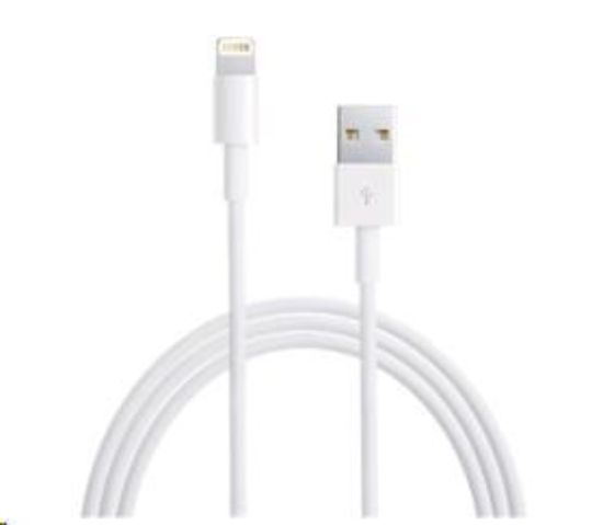 Obrázek APPLE USB kabel s konektorem Lightning 1m (bulk)