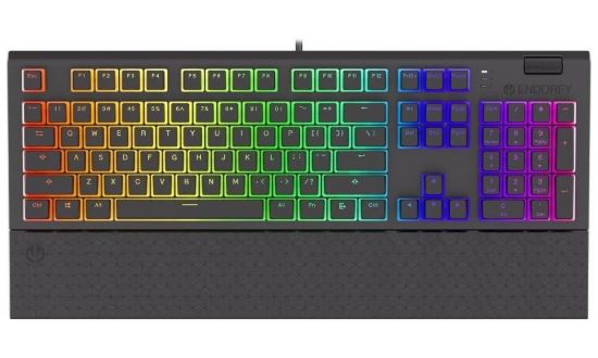 Obrázek Endorfy herní klávesnice Omnis Pudd.Kaihl BL RGB /USB/ blue switch / drátová / mechanická / US layout / černá RGB