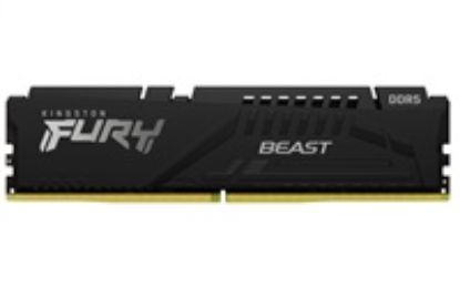 Obrázek KINGSTON DIMM DDR5 8 GB 6000MT/ s CL30 ECC FURY Beast EXPO Černá
