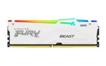 Obrázek KINGSTON DIMM DDR5 16 GB 6000MT/ s CL30 Non- ECC FURY Beast RGB EXPO, Bílá