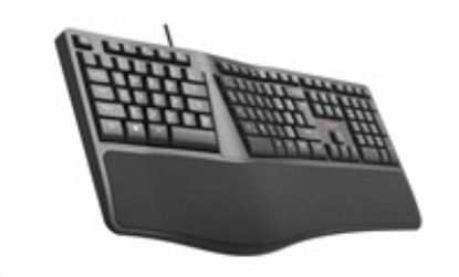 Obrázek C- TECH Klávesnice KB- 113E USB, ERGO, černá, CZ/ SK