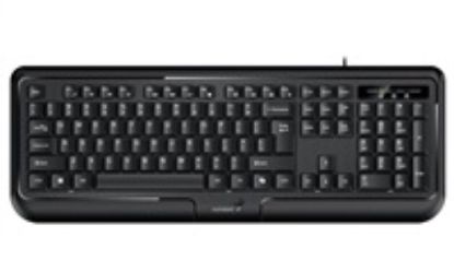 Obrázek GENIUS klávesnice KB- 118 II / Drátová/ Copilot/ USB/ černá/ CZ+SK layout