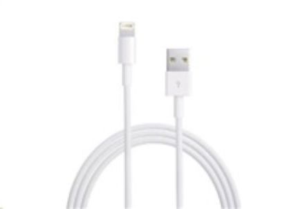 Obrázek APPLE USB kabel s konektorem Lightning (0, 5m)