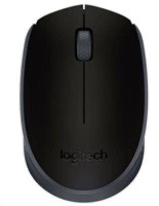 Obrázek Logitech Wireless Mouse M171, black