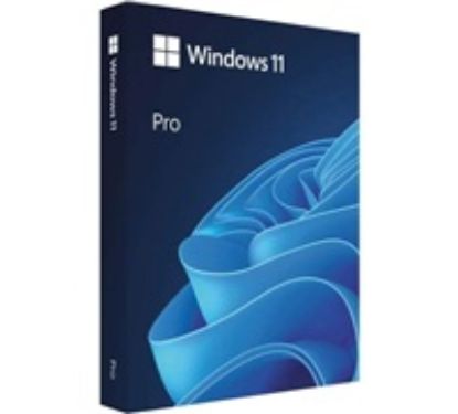 Obrázek Windows Pro 11 64- bit Eng USB