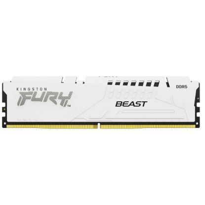 Obrázek KINGSTON DIMM DDR5 16 GB 6400MT/ s CL32 ECC FURY Beast EXPO Bílá