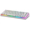 Obrázek DELL Alienware Pro Wireless Gaming Keyboard - US (QWERTY) (Lunar Light)