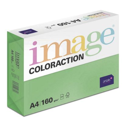 Obrázek Antalis Papír Image Coloraction Dublin - tmavě zelená (DG47) A4 (160g/ 250ks)