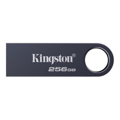 Obrázek Kingston Flash Disk 256 GB DataTraveler SE9 G3, USB 3.2 Gen 1, šedá