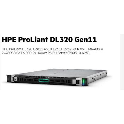 Obrázek HPE PL DL320g11 4510 (2.4/ 12C) 2 x 32G (p64706) 2 x 480G (P40497) MR408i- o 8SFF 2 x 1000 W 2 x 1Gb Smart Choice