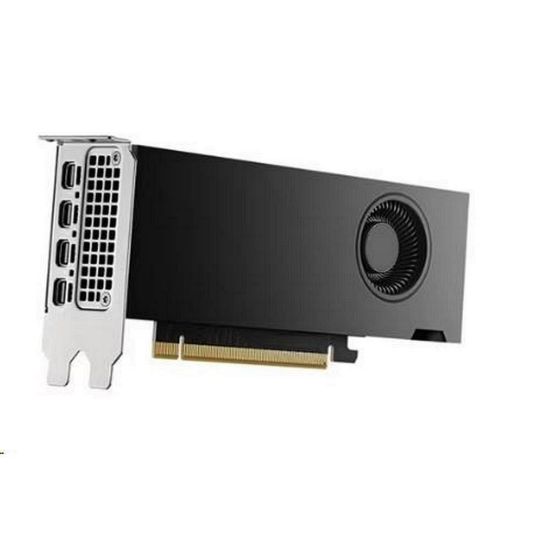 Obrázek DELL NVIDIA RTX 2000 Ada Generation 16 GB GDDR6 half height PCIe 4.0 x 8 4 mDP Graphics Card