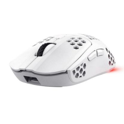 Obrázek TRUST bezdrátová myš GXT 929 W Helox Lightweight, RGB, Bílá