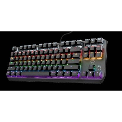 Obrázek TRUST klávesnice GXT 834 CALLAZ TKL KEYBOARD US