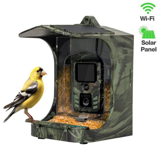 Obrázek EVOLVEO StrongVision BirdFeeder, Chytré krmítko pro ptáky s kamerou a solárním panelem