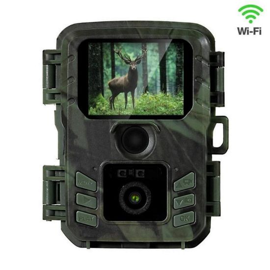 Obrázek EVOLVEO StrongVision Mini WiFi, fotopast/ bezpečnostní kamera s aplikací