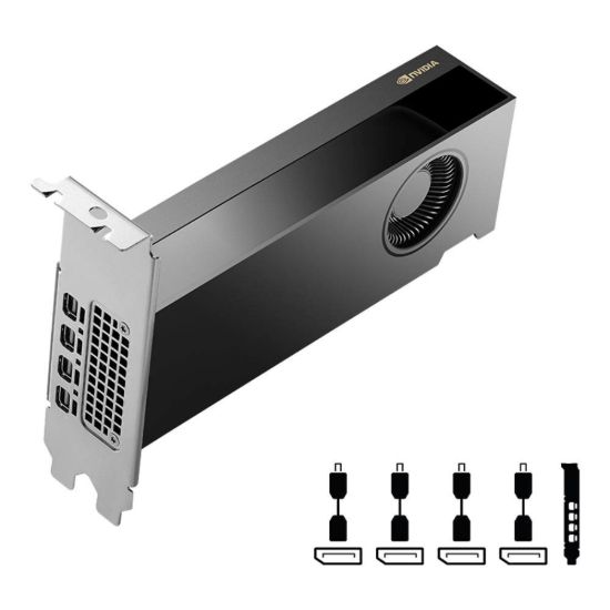 Obrázek PNY VGA NVIDIA RTX PRO 2000 Blackwell 16G, 16G GDDR7, 4xmDP
