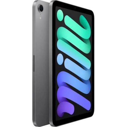 Obrázek APPLE iPad mini (7. gen) Wi- Fi 128 GB - Space Grey