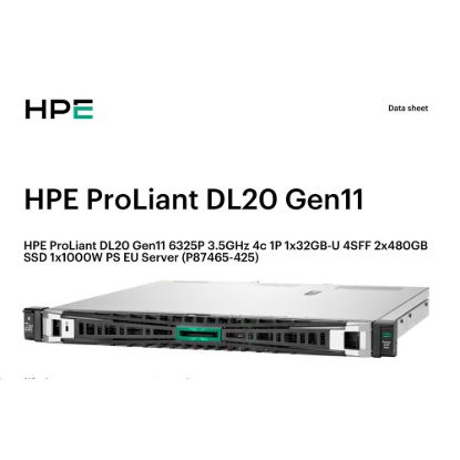 Obrázek HPE PL DL20g11 6325P (3.5G/ 4C8T) 2 x 16G (P64336) VROC 4SFF noHDD 4p1G 1 x 1000 W NBD333 Smart Choice