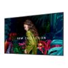 Obrázek Samsung QB55C-N Plochá digitální tabule 139,7 cm (55") LED 350 cd/m² 4K Ultra HD