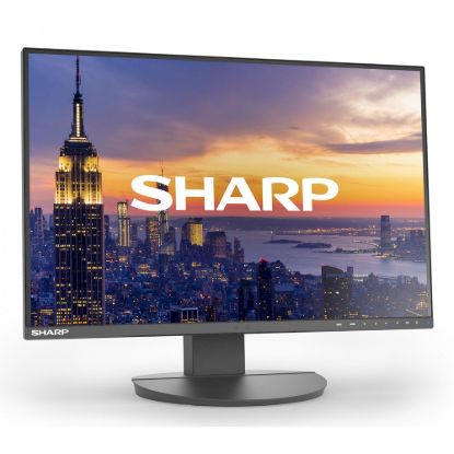 Obrázek Sharp 60006214 DD-EA242W Black 24" LCD monitor WUXGA (1920x1200) DP HDMI DP-OUT LAN USB-C 150 mm height adjustable